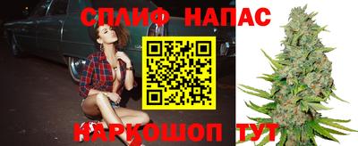 винт Новодвинск