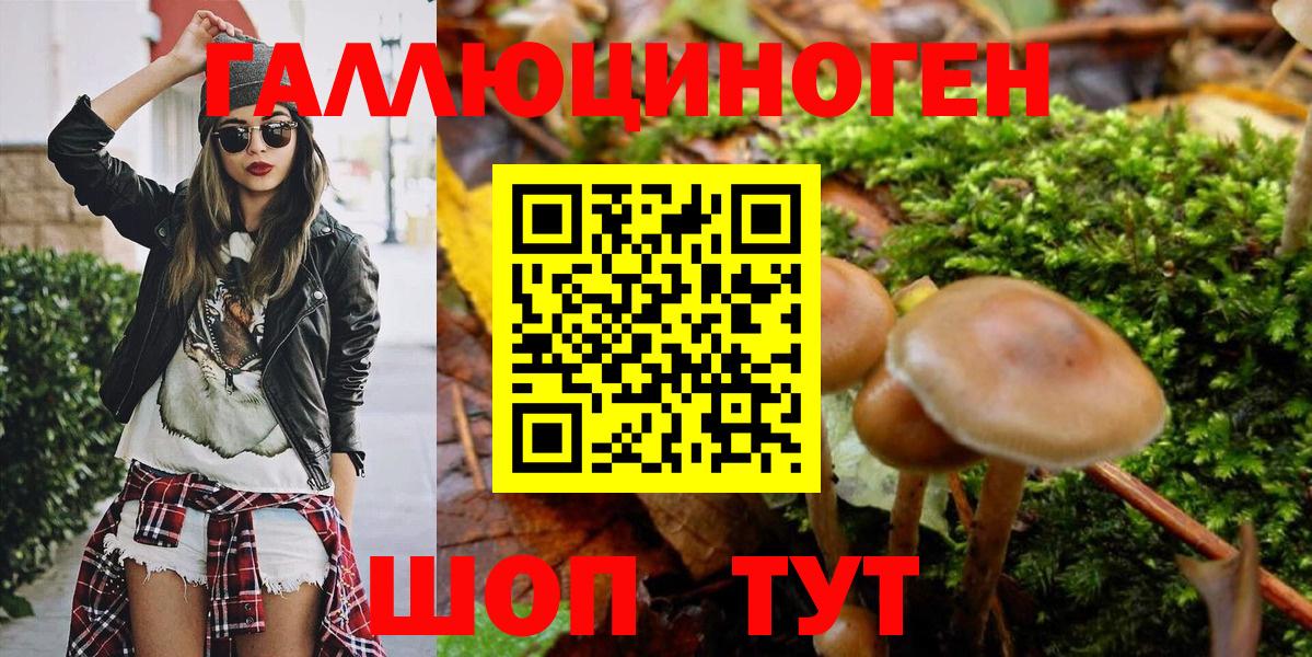 купить наркоту  Псилоцибиновые грибы Psilocybe  Вход с VPN  Саяногорск  Галлюциногенные грибы Magic Shrooms 